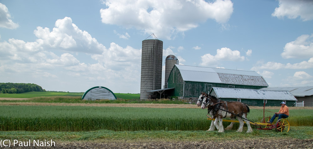 Mower - Mowing grass for hay