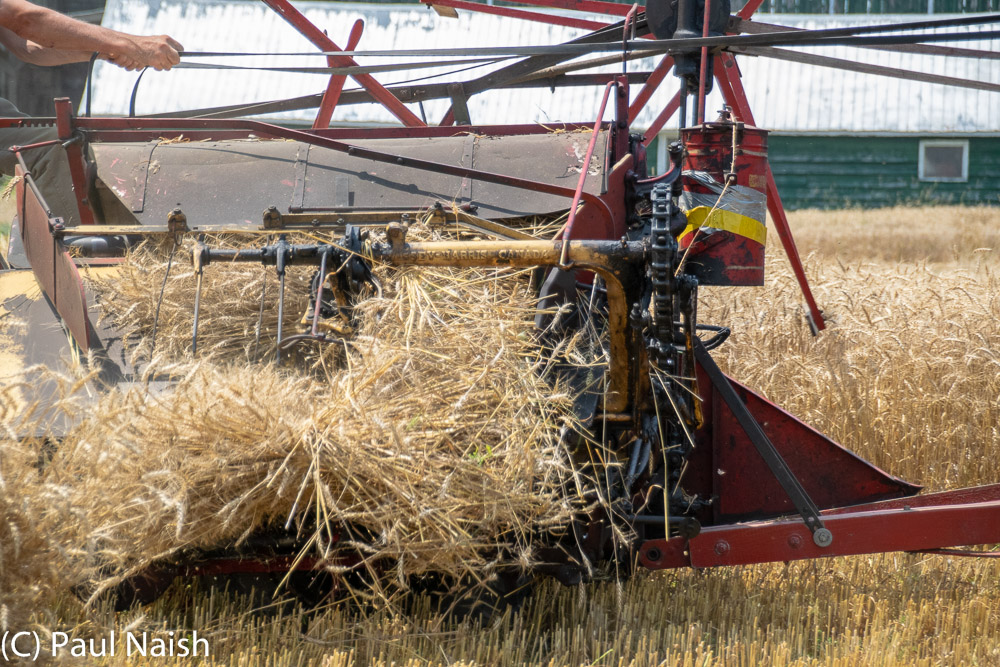 Reaper Binder - Mows and binds wheat sheaves with twine.