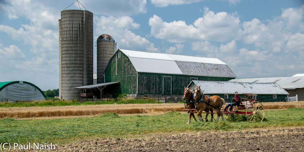 Rake - Raking grass for hay