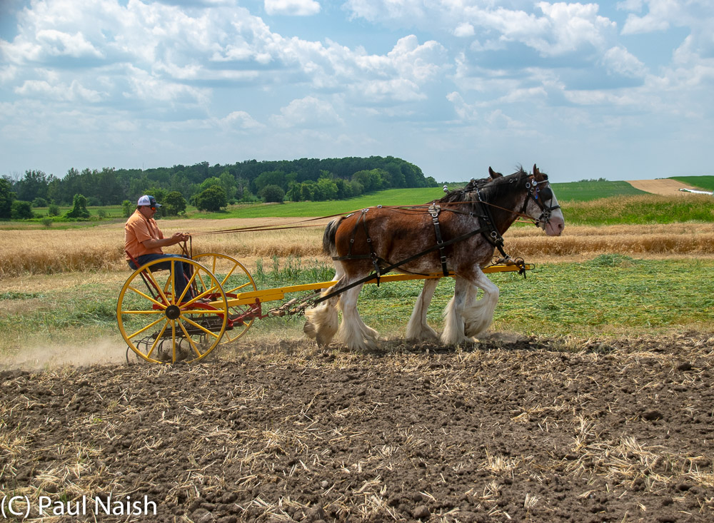 Cultivator - To stir and pulverize the soil