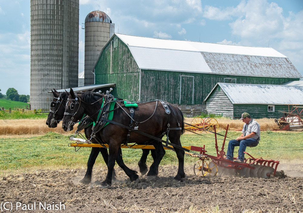 Disk Harrow - Breaks up dirt clods and weeds