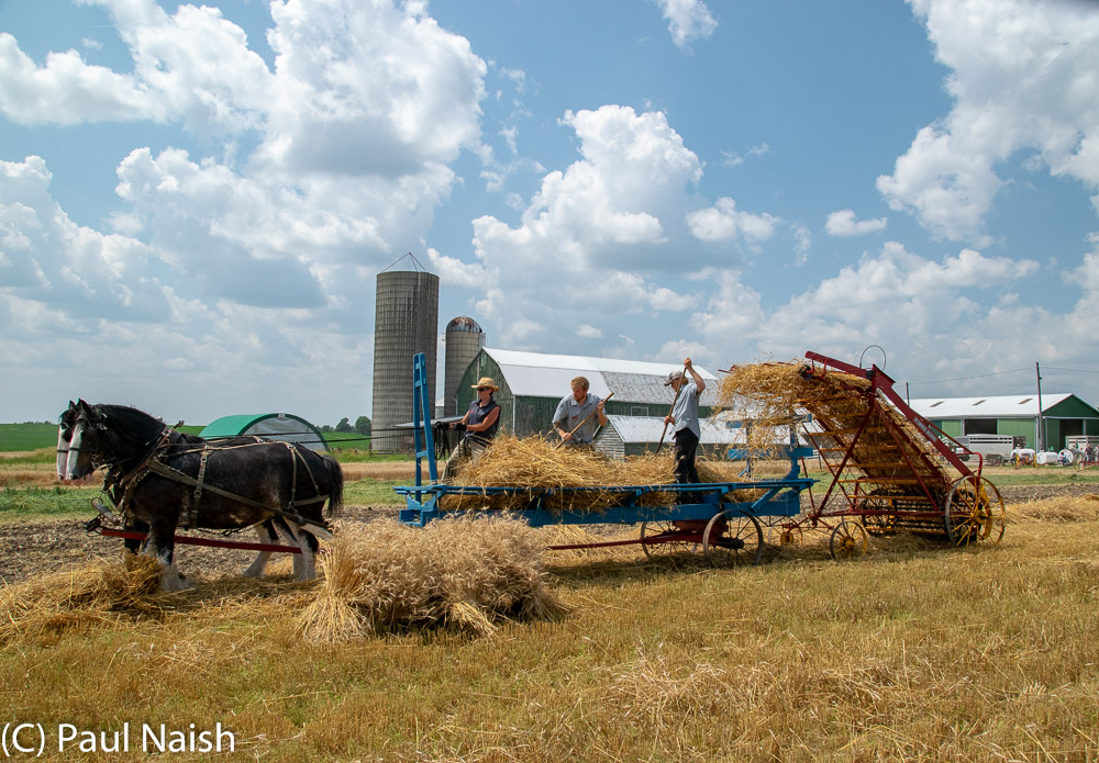 Loader - Lifts windrow of crop onto a wagon