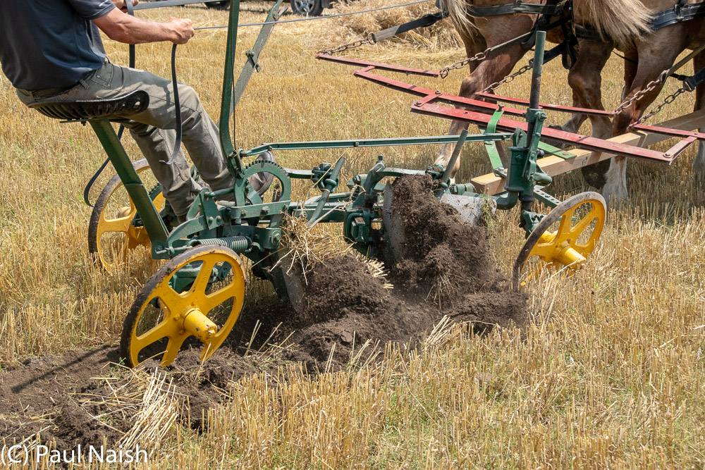 Plow (or Plough) - Used for initial cultivation in preparation for  planting